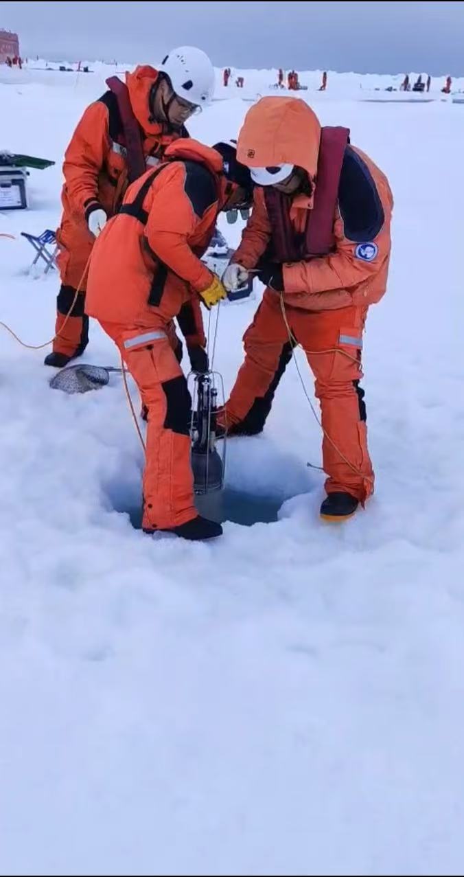 1767157976703463.jpg 1730603020702987.jpg