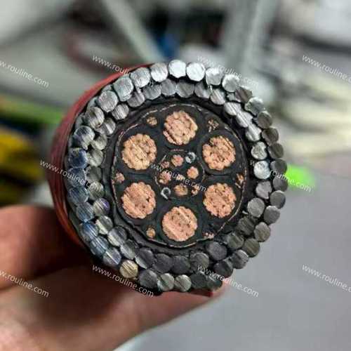a heavy duty steel wire armoured ROV umbilical cable for deep sea application.jpg a heavy duty steel wire armoured ROV umbilical cable for deep sea application.jpg