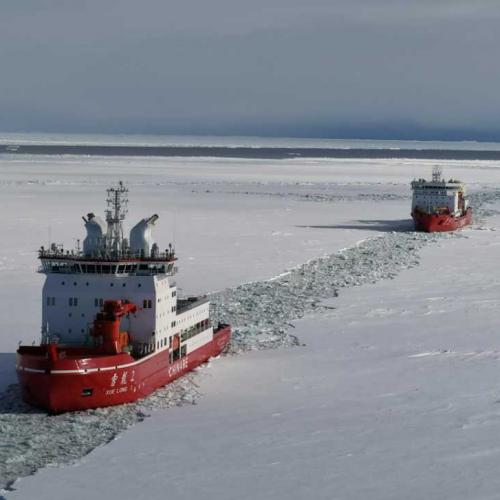 Arctic Grade Instrumentation Cables